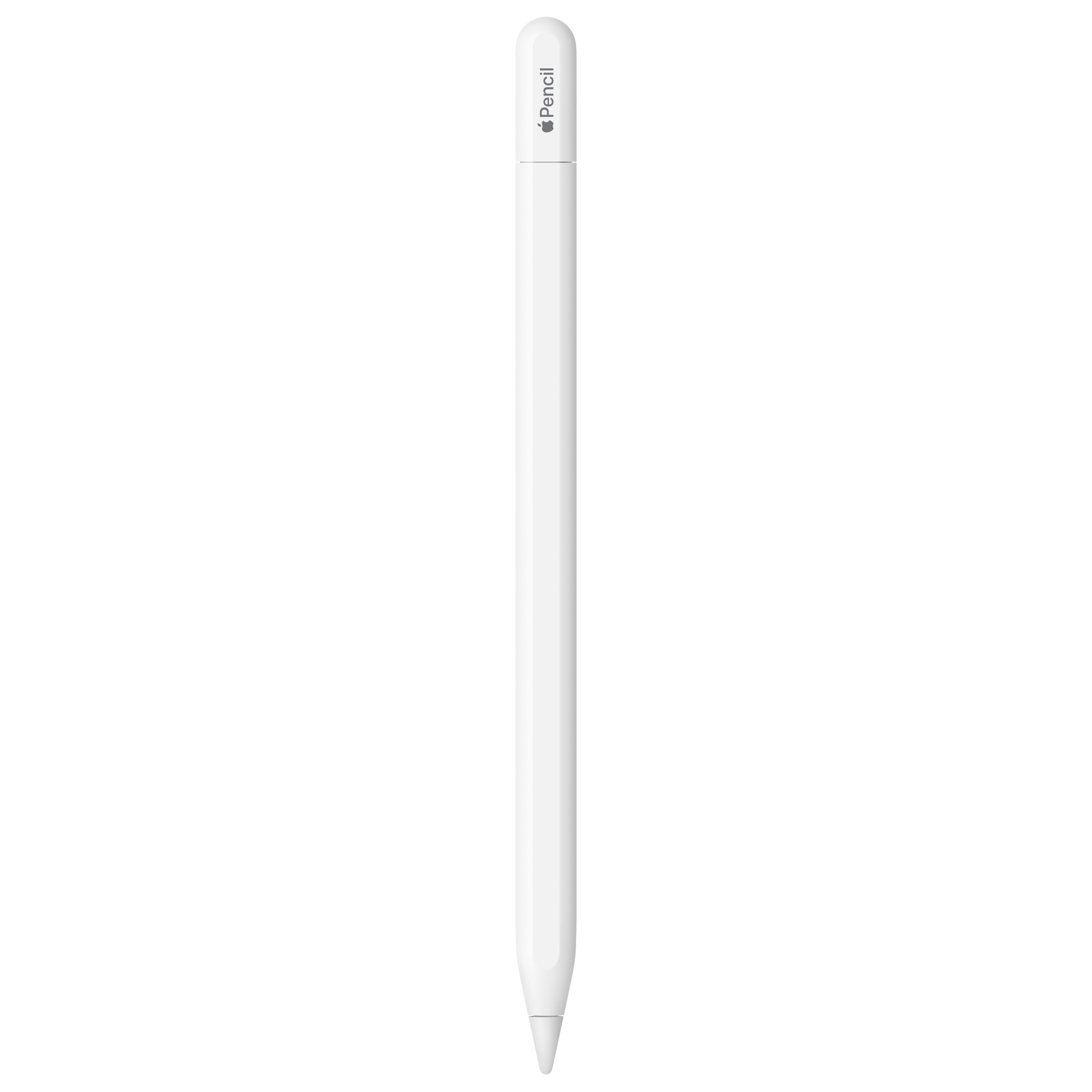 Apple Pencil (USB-C) standing upright on a white background